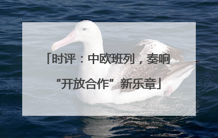 时评：中欧班列，奏响“开放合作”新乐章