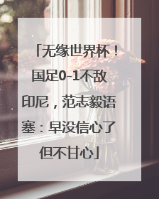 无缘世界杯！国足0-1不敌印尼，范志毅语塞：早没信心了但不甘心
