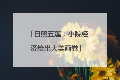 日照五莲：小院经济绘出大美画卷