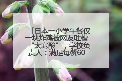 日本一小学午餐仅一块炸鸡被网友吐槽“太寒酸”，学校负责人：满足每餐600千卡的标准