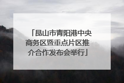 昆山市青阳港中央商务区暨重点片区推介合作发布会举行