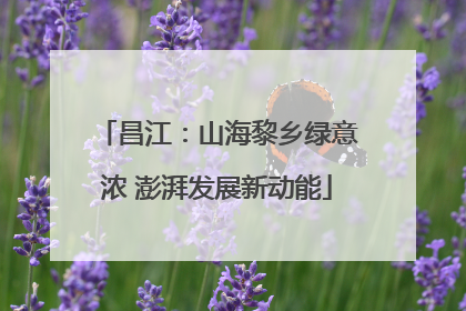 昌江：山海黎乡绿意浓 澎湃发展新动能