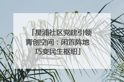 星浦社区党建引领青创空间：闲置阵地巧变民生枢纽