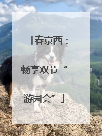 春京西：畅享双节“游园会”