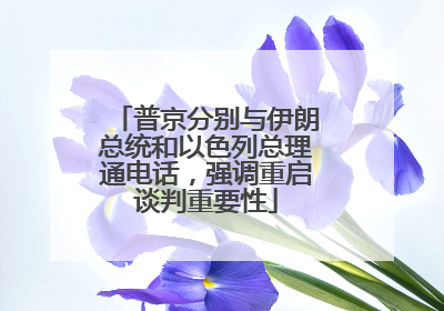 普京分别与伊朗总统和以色列总理通电话，强调重启谈判重要性