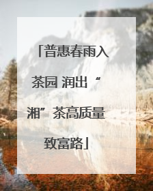 普惠春雨入茶园 润出“湘”茶高质量致富路