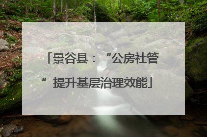 景谷县：“公房社管”提升基层治理效能