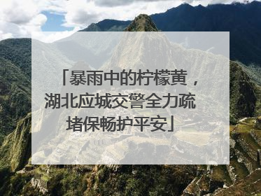 暴雨中的柠檬黄，湖北应城交警全力疏堵保畅护平安