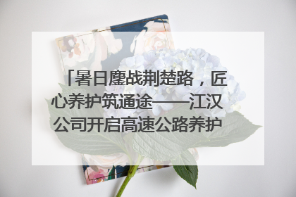 暑日鏖战荆楚路，匠心养护筑通途——江汉公司开启高速公路养护专项工程建设热潮