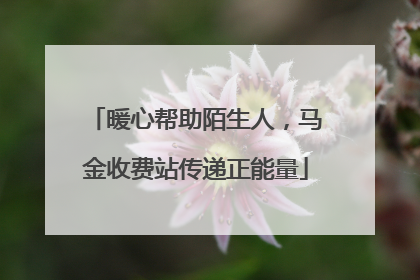 暖心帮助陌生人，马金收费站传递正能量