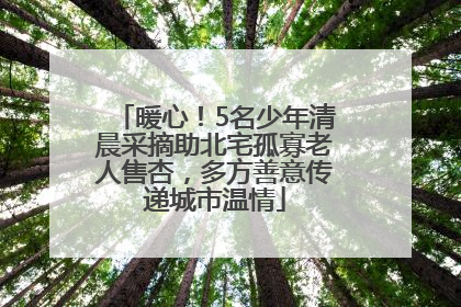 暖心！5名少年清晨采摘助北宅孤寡老人售杏，多方善意传递城市温情