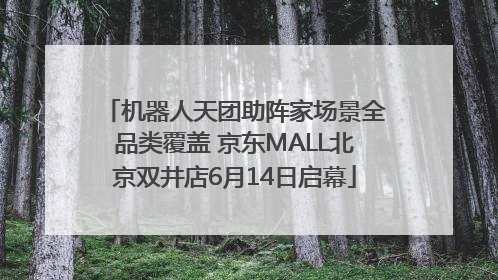 机器人天团助阵家场景全品类覆盖 京东MALL北京双井店6月14日启幕