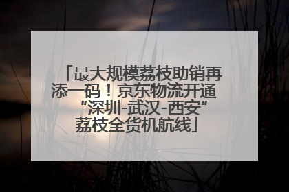 最大规模荔枝助销再添一码！京东物流开通“深圳-武汉-西安” 荔枝全货机航线