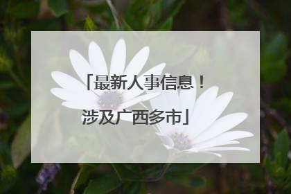 最新人事信息！涉及广西多市