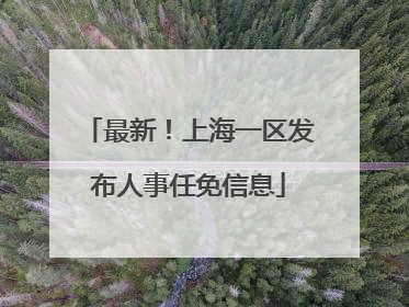 最新！上海一区发布人事任免信息