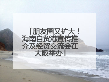朋友圈又扩大！海南自贸港宣传推介及经贸交流会在大阪举办