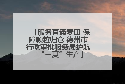 服务直通麦田 保障颗粒归仓 德州市行政审批服务局护航“三夏”生产