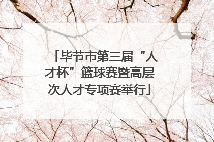 毕节市第三届“人才杯”篮球赛暨高层次人才专项赛举行