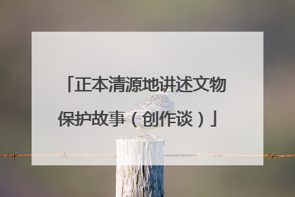 正本清源地讲述文物保护故事（创作谈）
