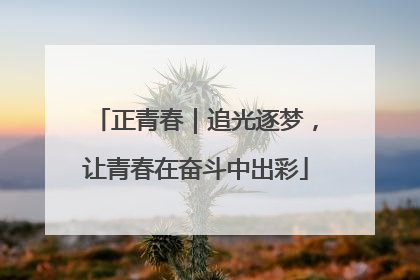 正青春｜追光逐梦，让青春在奋斗中出彩