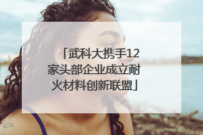 武科大携手12家头部企业成立耐火材料创新联盟