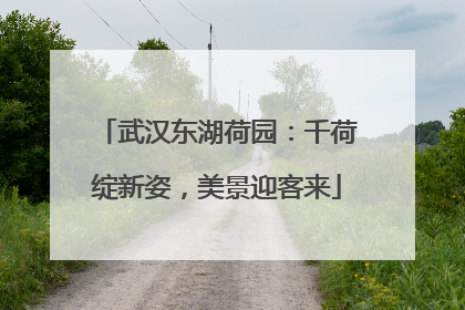 武汉东湖荷园：千荷绽新姿，美景迎客来