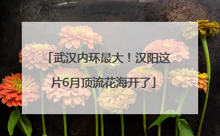 武汉内环最大！汉阳这片6月顶流花海开了