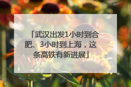 武汉出发1小时到合肥、3小时到上海，这条高铁有新进展