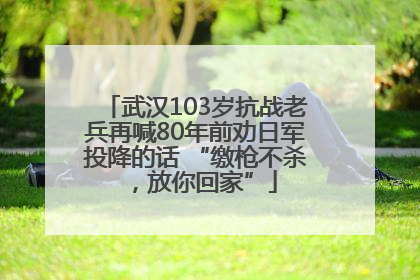 武汉103岁抗战老兵再喊80年前劝日军投降的话 “缴枪不杀，放你回家”