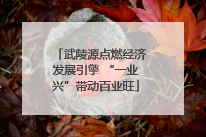 武陵源点燃经济发展引擎 “一业兴”带动百业旺