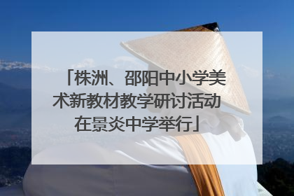 株洲、邵阳中小学美术新教材教学研讨活动在景炎中学举行
