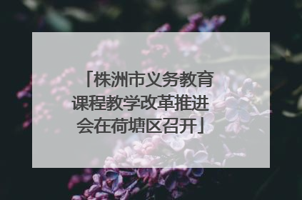 株洲市义务教育课程教学改革推进会在荷塘区召开