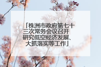 株洲市政府第七十三次常务会议召开 研究低空经济发展、大抓落实等工作