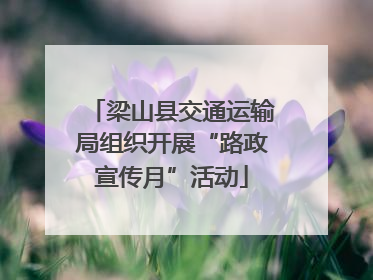 梁山县交通运输局组织开展“路政宣传月”活动