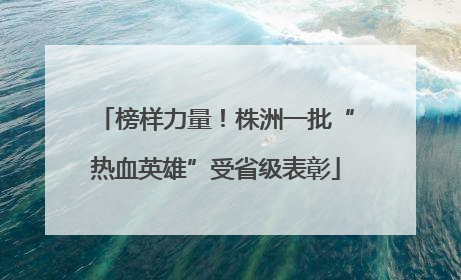 榜样力量！株洲一批“热血英雄”受省级表彰
