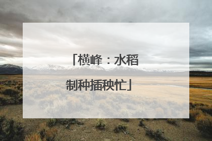横峰：水稻制种插秧忙