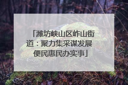 潍坊峡山区岞山街道：聚力集采谋发展 便民惠民办实事