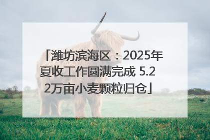 潍坊滨海区：2025年夏收工作圆满完成 5.22万亩小麦颗粒归仓