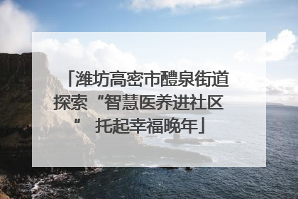潍坊高密市醴泉街道探索“智慧医养进社区” 托起幸福晚年