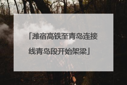 潍宿高铁至青岛连接线青岛段开始架梁
