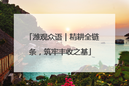潍观众语｜精耕全链条，筑牢丰收之基