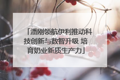 潘刚领航伊利推动科技创新与数智升级 培育奶业新质生产力
