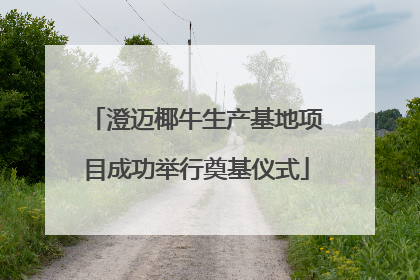 澄迈椰牛生产基地项目成功举行奠基仪式