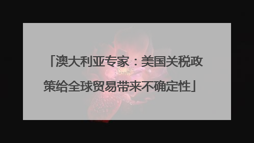 澳大利亚专家：美国关税政策给全球贸易带来不确定性
