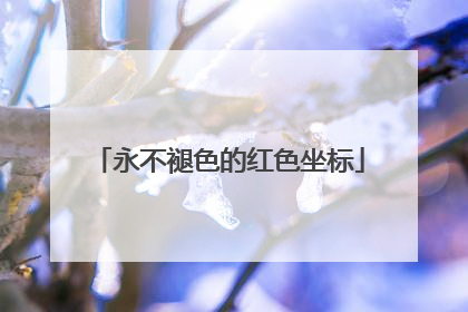 永不褪色的红色坐标