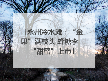 永州冷水滩：“金果”满枝头 蜂糖李“甜蜜”上市