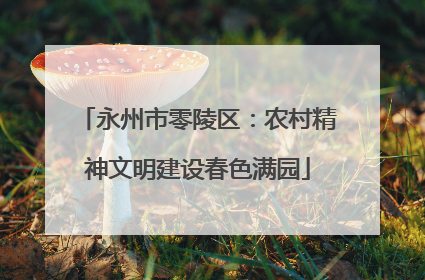 永州市零陵区：农村精神文明建设春色满园