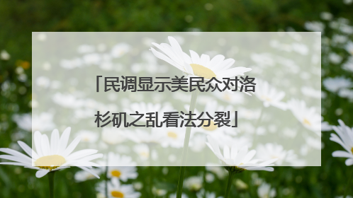 民调显示美民众对洛杉矶之乱看法分裂