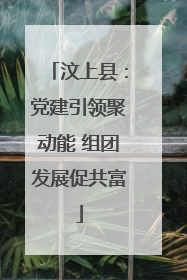 汶上县：党建引领聚动能 组团发展促共富