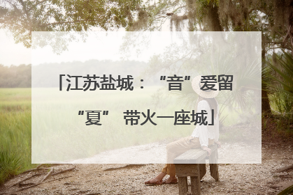 江苏盐城：“音”爱留“夏” 带火一座城